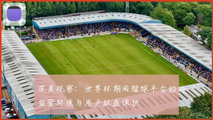 深度观察：世界杯期间赌球平台的监管环境与用户权益保护