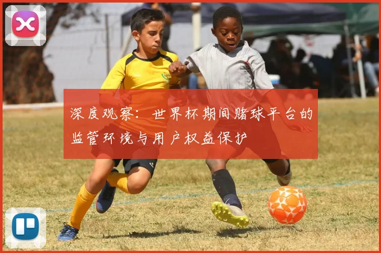 深度观察：世界杯期间赌球平台的监管环境与用户权益保护