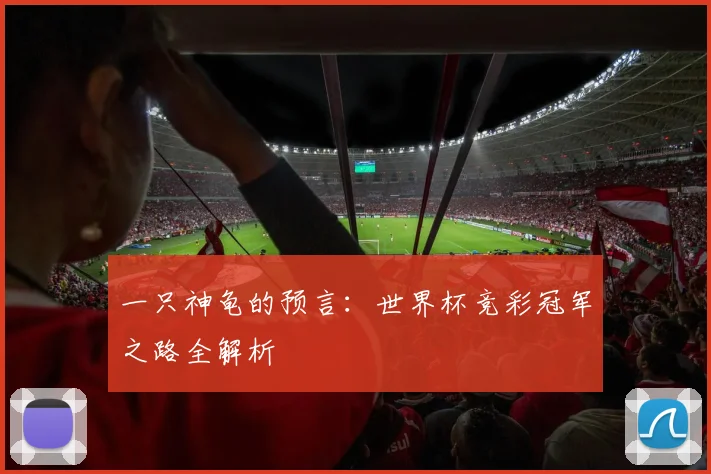 一只神龟的预言:世界杯竞彩冠军之路全解析