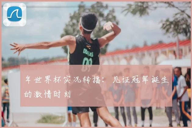 年世界杯实况转播：见证冠军诞生的激情时刻