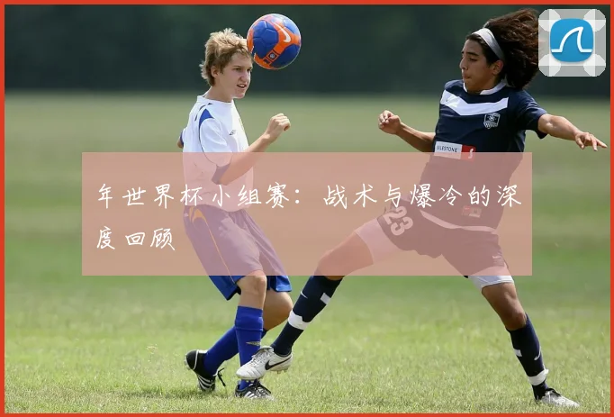 年世界杯小组赛：战术与爆冷的深度回顾
