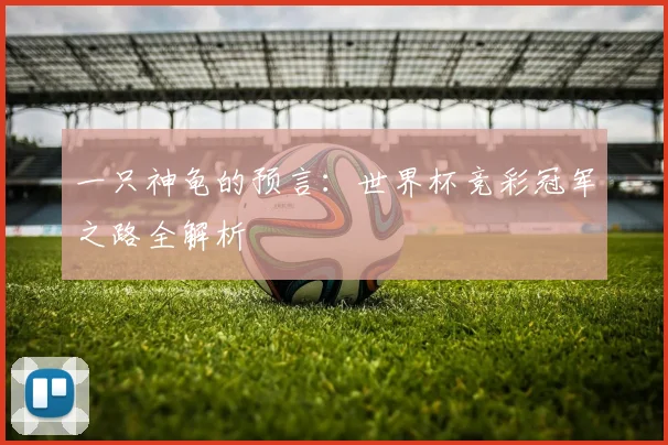 一只神龟的预言:世界杯竞彩冠军之路全解析