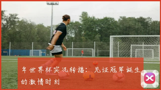 年世界杯实况转播：见证冠军诞生的激情时刻