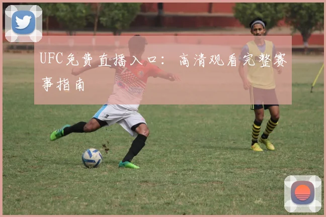 UFC免费直播入口：高清观看完整赛事指南